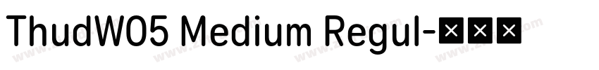 ThudW05 Medium Regul字体转换